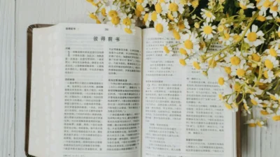 Bible Verses About Idenity